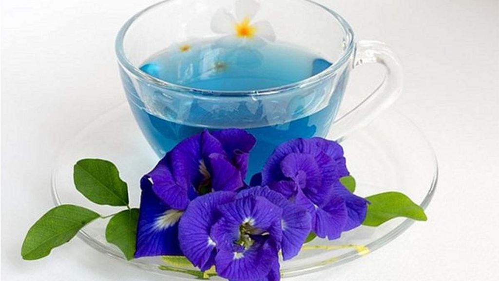 Consumo regular de té azul 