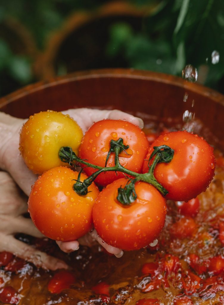Cómo plantar y cuidar tomates en casa para que tengan más sabor