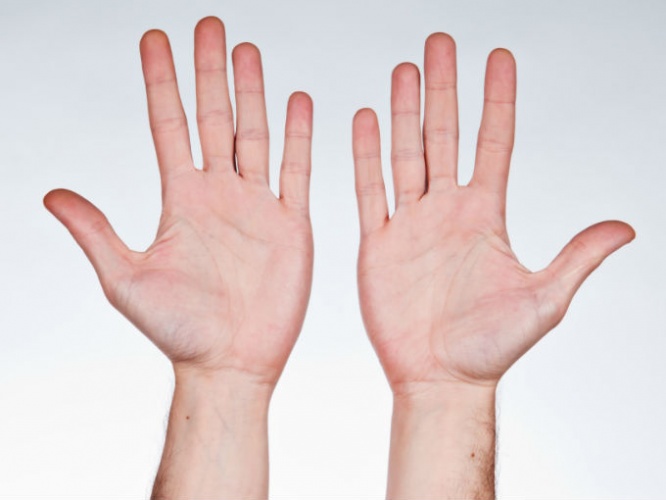 Curiosidades científicas sobre los zurdos