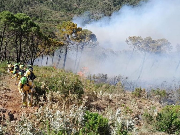 Los bomberos continúan luchando de madrugada contra el incendio forestal de Pujerra (Málaga)
