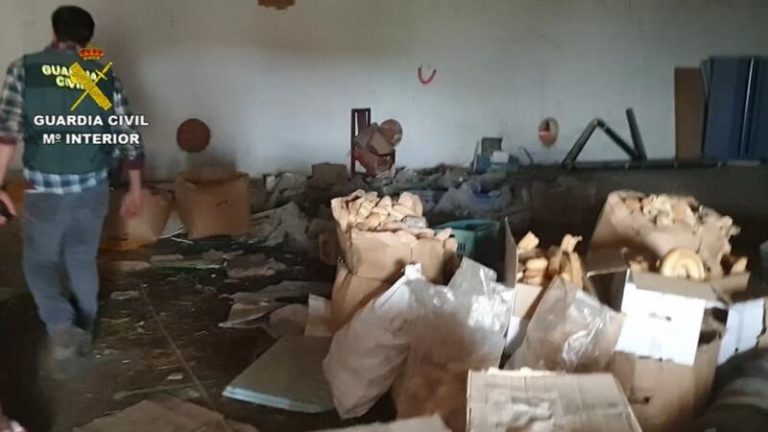 Seprona cierra un matadero ilegal cuya carne se vendía en establecimientos asiáticos