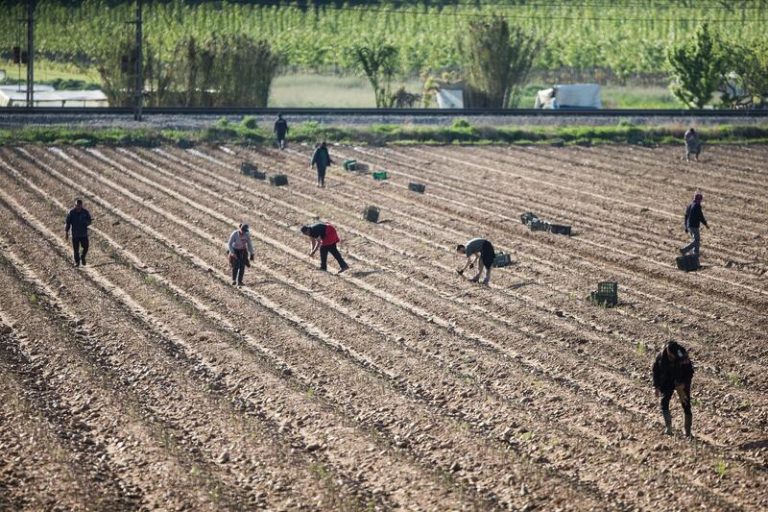 Unidas Podemos propone una ley para acabar con las peonadas y mejorar los subsidios a jornaleros