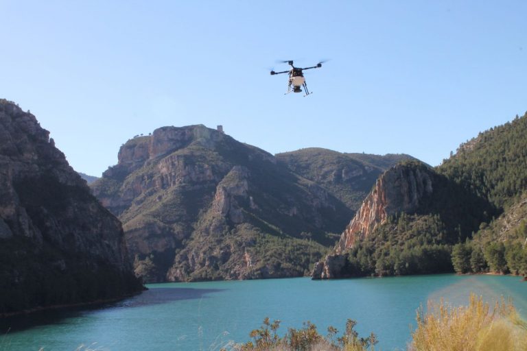 CO2 Revolution devuelve bosque perdido a una extensión forestal similar a 1.000 campos de fútbol