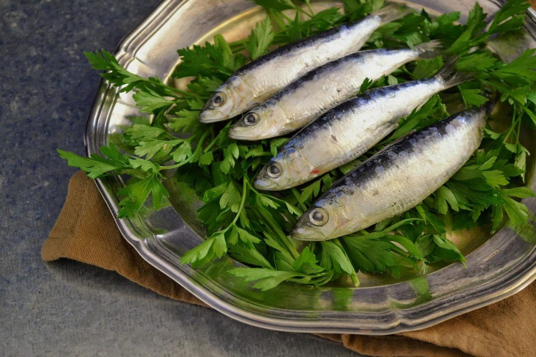 Arguiñano prepara unos boquerones en salsa de escándalo