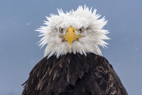 Fotos impresionantes sin Photoshop