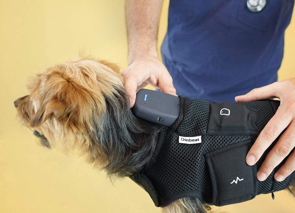 Cómo funciona dicho gadgets 