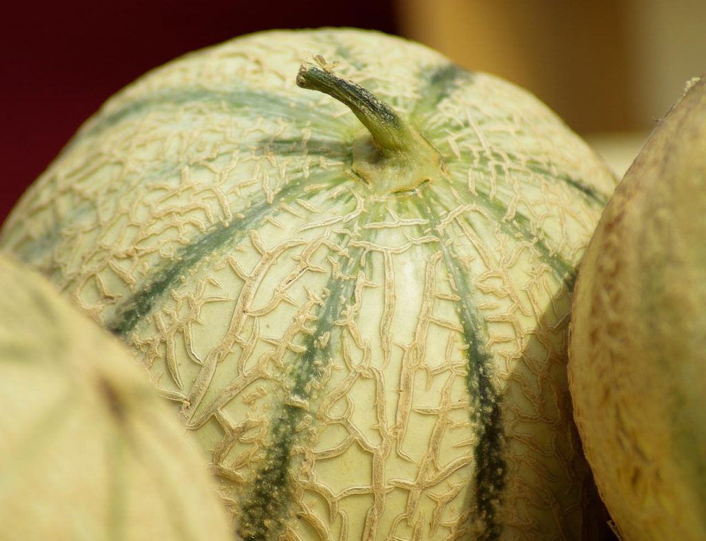 El gazpacho con el que Arguiñano refresca el verano 149 melón
