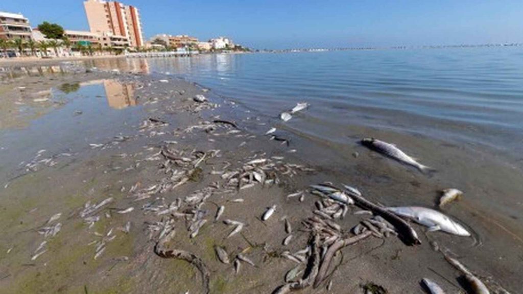Grupo de playas contaminadas en Ceuta y el País Vasco