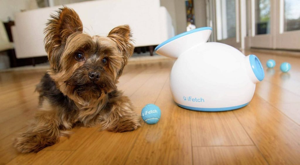 Ifetch, el lanzador de pelotas que le encantará a tus mascotas 