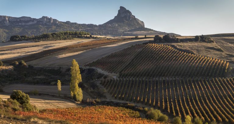 Crianza 2019; la puerta de entrada fresca y versátil de Bodega 202 a Rioja Alavesa