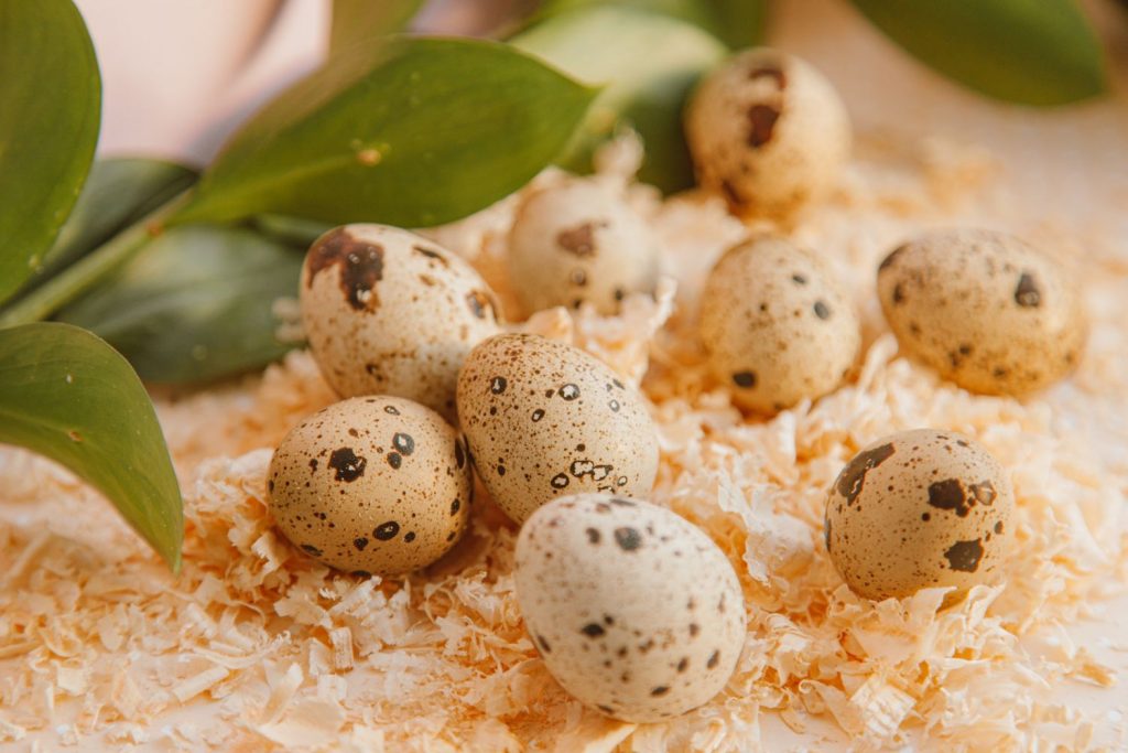 La receta de gazpacho de Tamara Falcó que lo convierte en un plato de lujo 181 La receta de gazpacho de Tamara Falcó que lo convierte en un plato de lujo