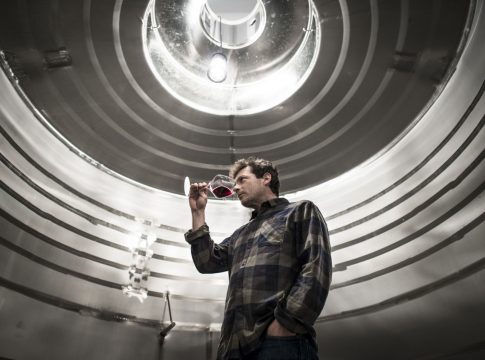 Bodega 202 Vino de calidad