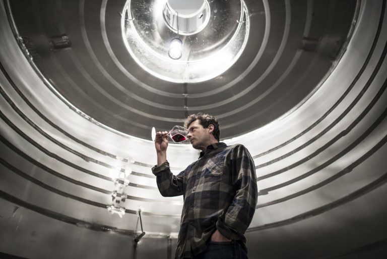 Aistear 2016; un puzle de parcelas de Rioja Alavesa tocando al mismo son