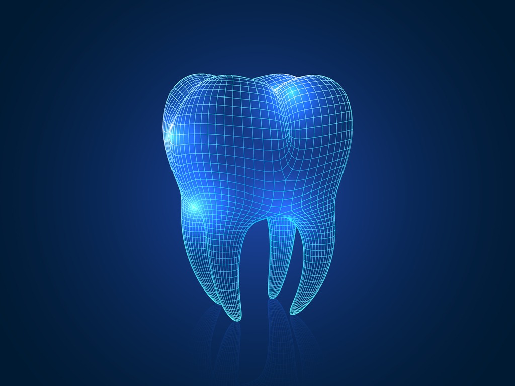 El tamaño de los dientes