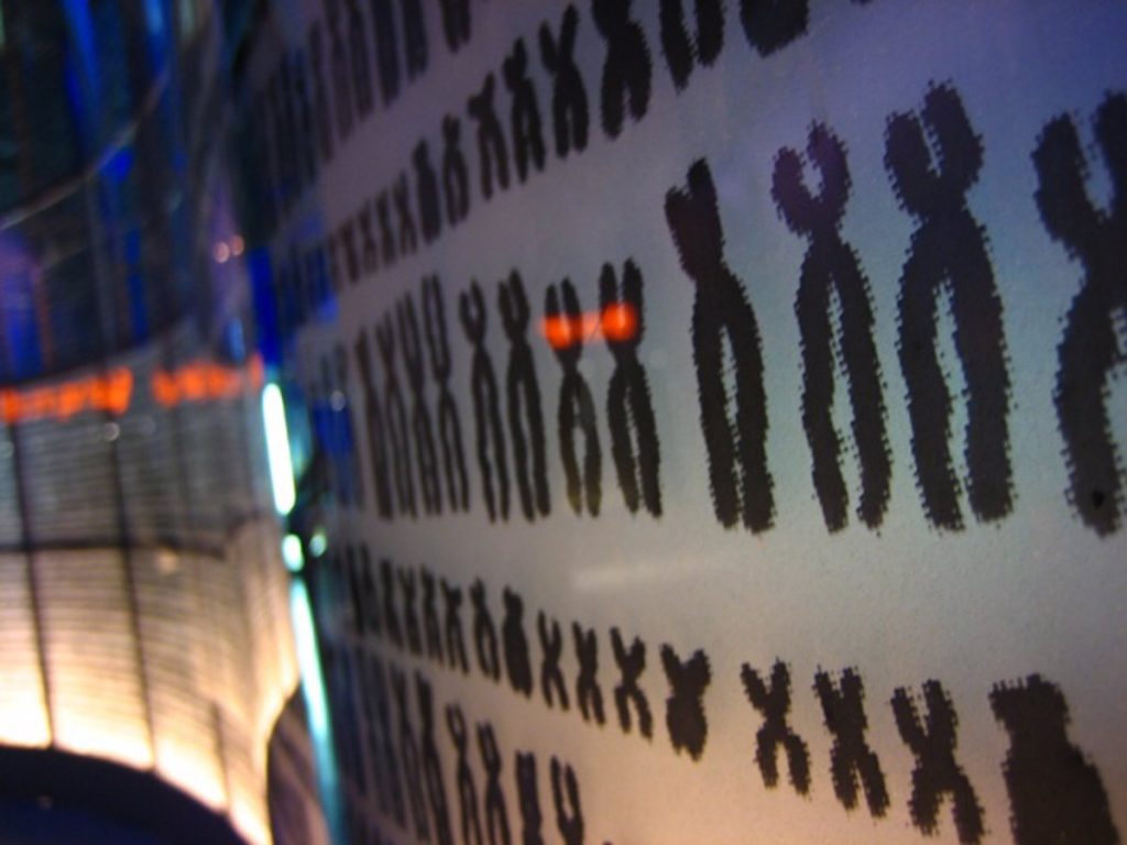 ¿Cómo puede llegarse a la forma de X que caracteriza a los cromosomas?