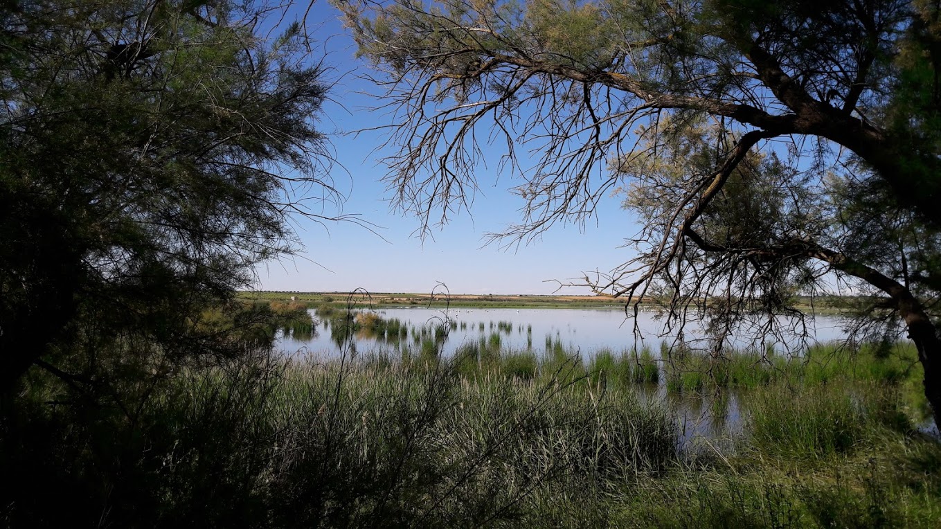 RUTA VINO LA MANCHA Laguna del Pueblo Pedro Munoz 2