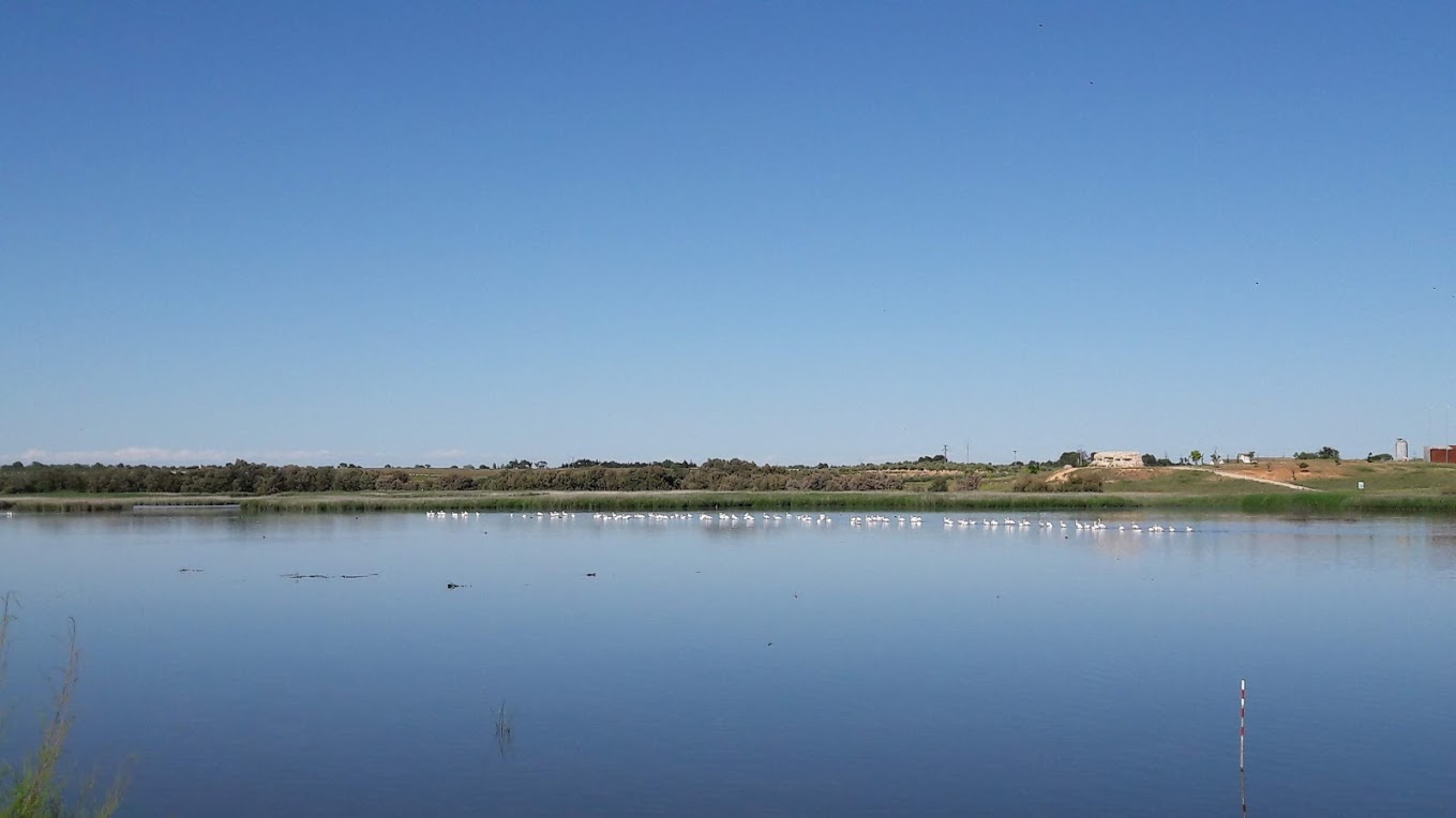 RUTA VINO LA MANCHA Laguna del Pueblo Pedro Munoz