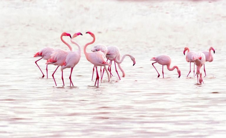 Recorre la Ruta del Vino de La Mancha en sus tres elementos: tierra, agua y aire