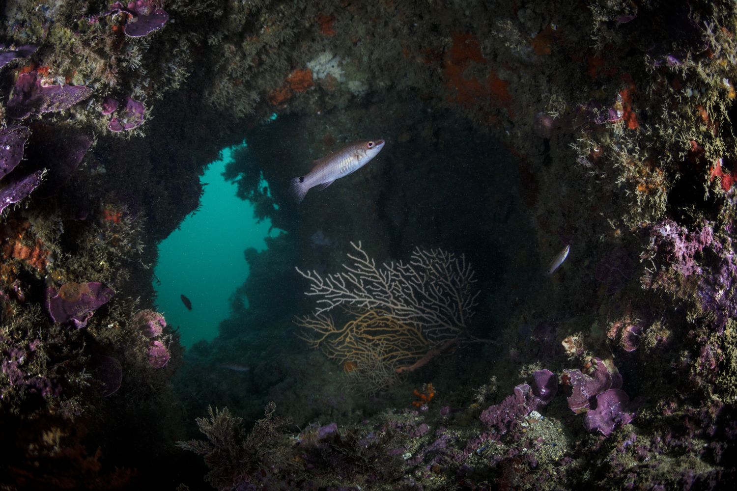 TURISMO ALGARVE actividades nauticas Jardim do Vau1