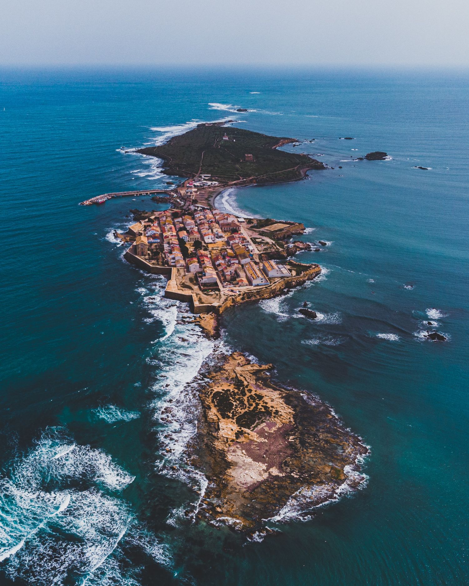 Tabarca emil gabrovski