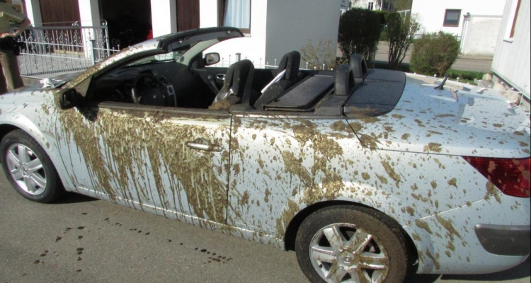 Ejemplos gráficos de un muy mal día