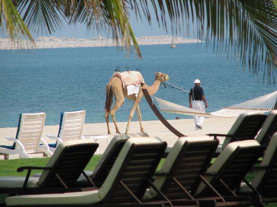 Cosas lujosas que solo podrías ver en Dubai