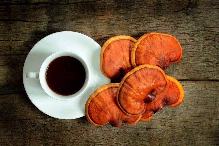 La Tienda De Cristóbal y la combinación de café con ganoderma