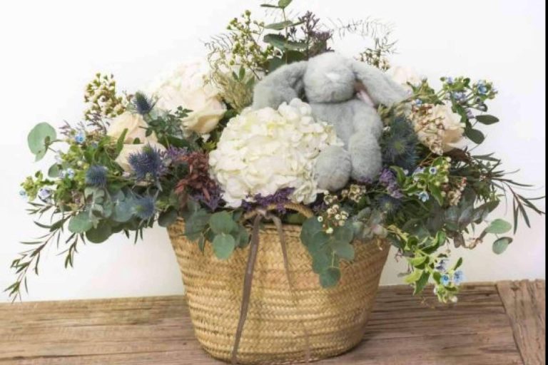 Enviar flores para nacimientos con Amborella