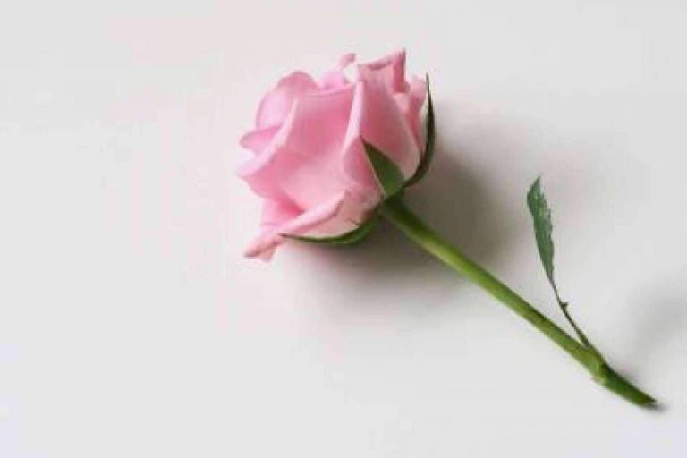 Mejorar y tener más energía y actividad física con un plan de entrenamiento del Perfil de Bienestar