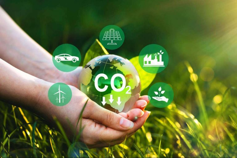 Empresas como ClimateTrade ayudan a compensar la huella de carbono