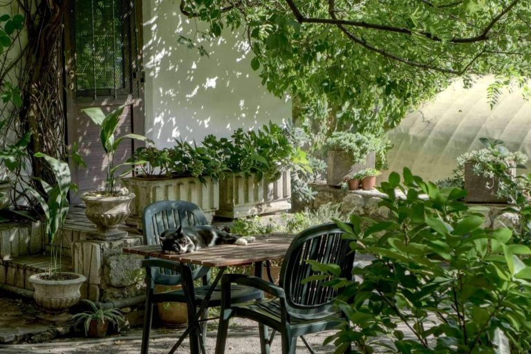 Conocer las últimas tendencias para decorar el jardín o la terraza