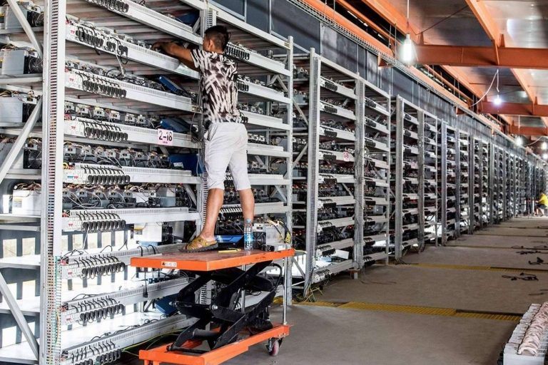 Mineros de Criptomonedas, un equipo con una experiencia de más de 8 años en granjas de minerías