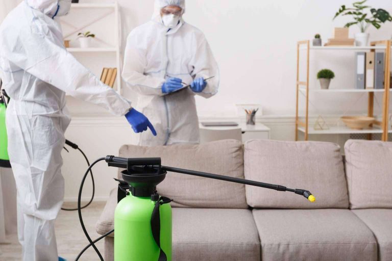 Limpieza de tapizados a domicilio de la mano de Limpianet