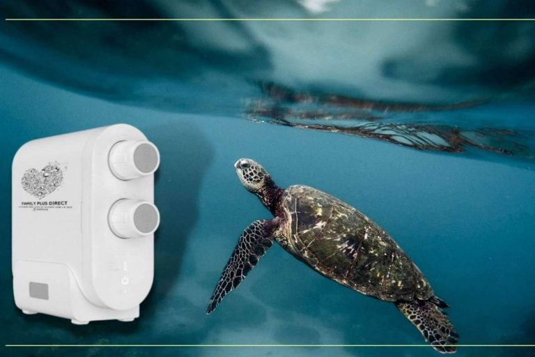 ¿Cómo contribuir a la preservación de los océanos? El consumo de agua del grifo con filtros