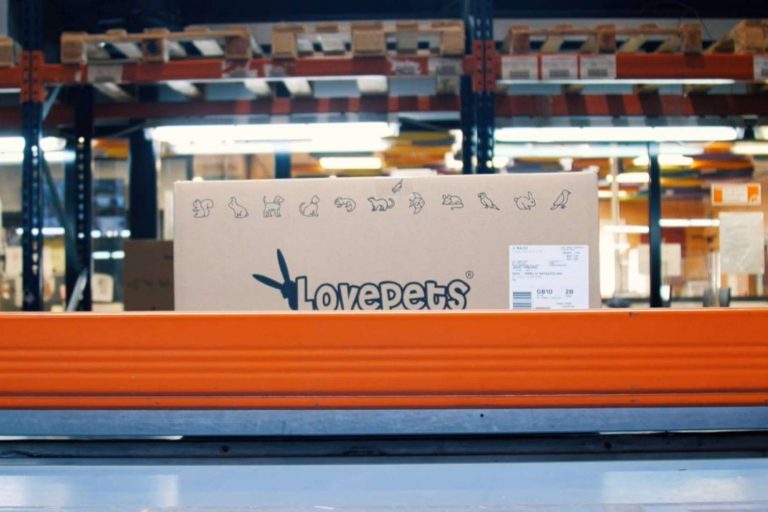 ¿Cuál es la alimentación adecuada para pequeños roedores?, por los expertos de LovePets