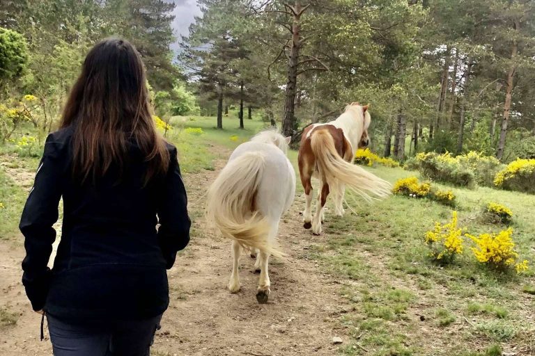 ¿Qué es la PNL asistida con caballos en libertad?, por Aura