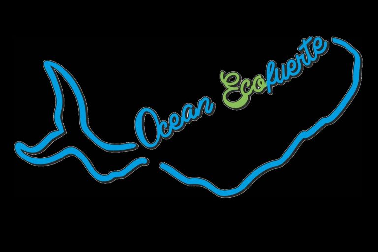 ¿Qué saber sobre el detergente ecológico y cómo contribuye con el planeta?, por OceanEcoFuerte