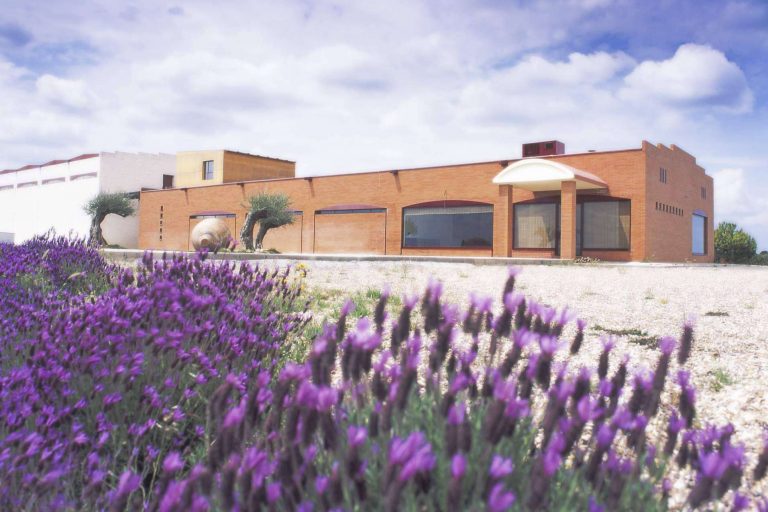 Carlos Moro añade Sanclodio a su conjunto de bodegas boutique