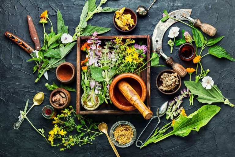 Los medicamentos herbolarios de Soria Natural México