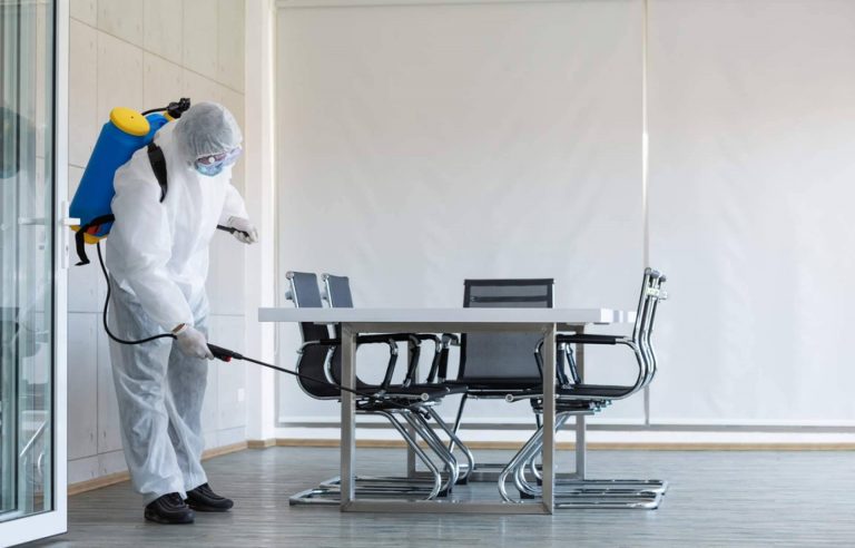 Deporastur expone la importancia de la prevención de plagas