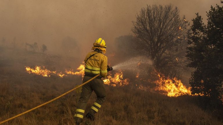 Controlado el incendio de Petrer (Alicante) y declarados otros en Albaida y Benaguasil (Valencia)