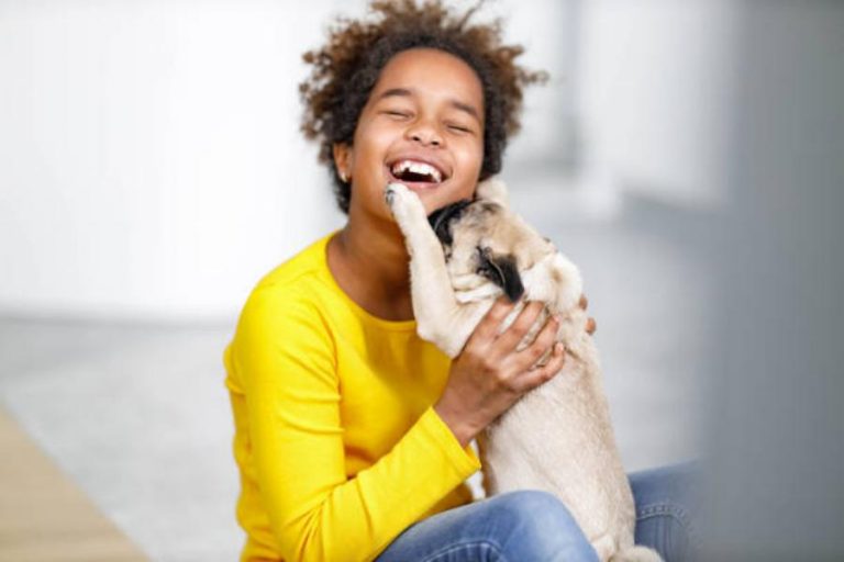 Esta raza de perro dejará de existir en unos años: los motivos