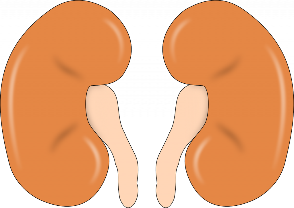 Este es el significado de la espuma en la orina