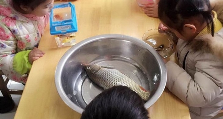 Niños que se toman al pie de la letra los pedidos