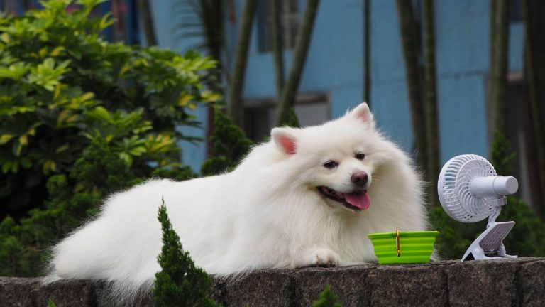 10 artículos de Aliexpress que son perfectos para no llegar sudada a la oficina