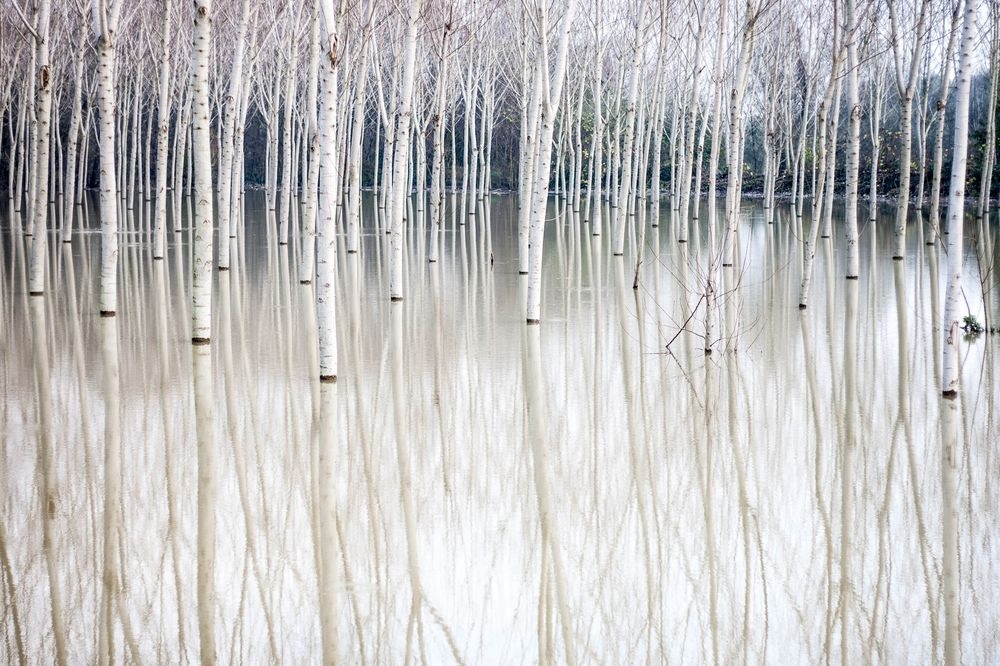 Fotos impresionantes sin Photoshop