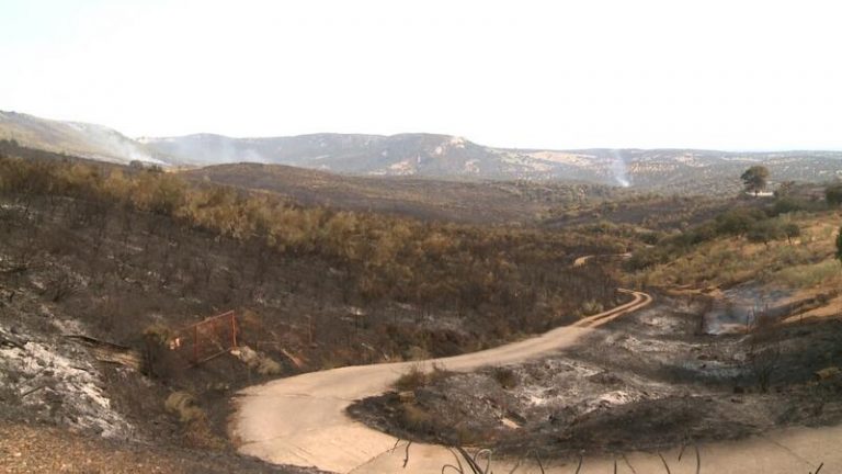 Cazadores de Extremadura solicitan un plan para restituir la biodiversidad en zonas dañadas por incendios