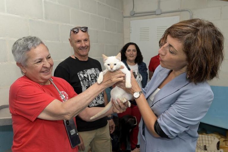 Galicia identificará los animales de compañía que aparezcan muertos en la vía pública