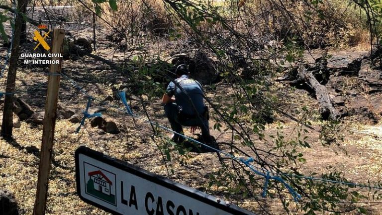 Detenido el supuesto autor de cuatro incendios en Jaraíz de la Vera (Cáceres)