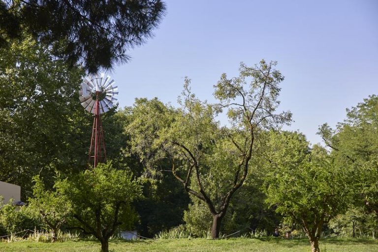 El Ayuntamiento de Madrid cierra este sábado El Retiro y otros ocho parques por culpa del viento y las altas temperaturas